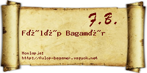 Fülöp Bagamér névjegykártya